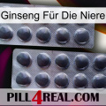 Ginseng Für Die Niere 31